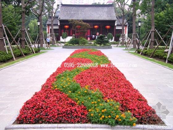 上海蓬萊公園第21張圖片 上海蓬萊公園第21張圖片